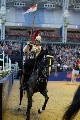 Cavalry - 00211